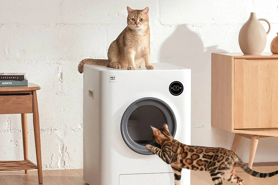 automated cat litter