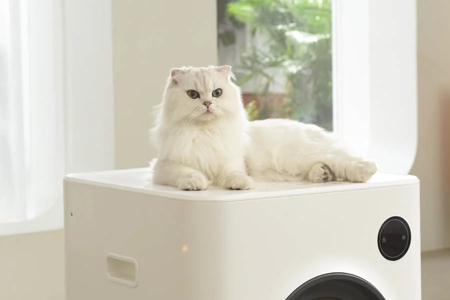 automated cat litter