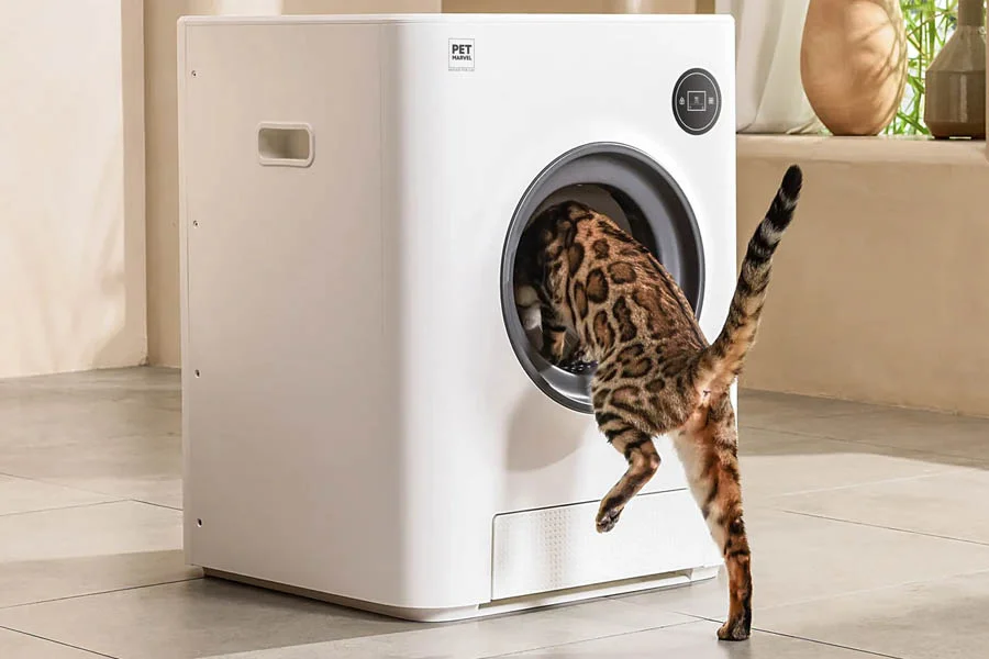 automated cat litter